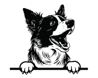覗いているボーダーコリー SVG、覗いているボーダーコリー クリップ