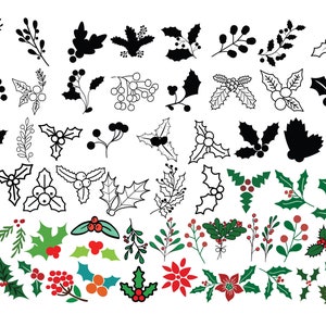 SVG VISCHIO DI NATALE, Clipart vischio, File Svg vischio per Cricut, Svg bacca di agrifoglio