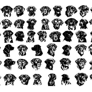 May include: A collection of black and white illustrations of Labrador Retrievers. The images showcase various head and face angles, with some dogs wearing sunglasses. The artwork is detailed and suitable for dog lovers.