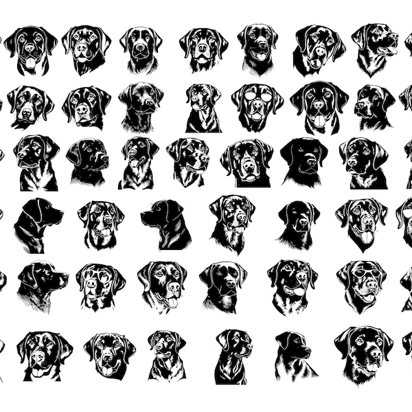 LABRADOR RETRIEVER SVG, Labrador Retriever Clipart, Labrador Retriever Svg Files For Cricut, Labrador Retriever Head