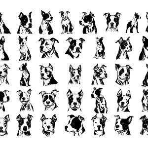 Puede incluir: Una colección de ilustraciones en blanco y negro de pitbull terriers en varias poses y ángulos. Los perros se representan con rasgos detallados, mostrando su complexión musculosa y expresiones faciales distintivas. La obra de arte está sobre un fondo blanco.