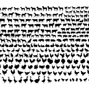 BOERDERIJ DIEREN SVG bundel, boerderij dieren Svg gesneden bestanden voor de Cricut, koe Svg, paard Svg, boerderij svg, varken Svg