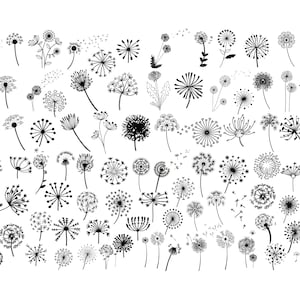 PUSTEZAHN BUNDLE SVG Dateien, Pustezahn Bundle Dateien für Cricut, Pustezahn Bundle Clipart Dateien