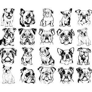 BULLDOG SVG, BULLDOG Clipart, File Bulldog Svg per Cricut, Silhouette Bulldog Svg, Cane Svg