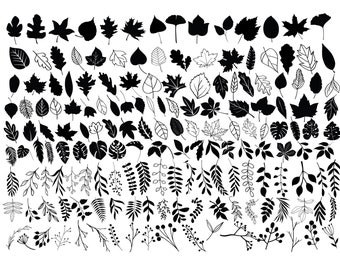 LEAF SVG Bundle, LEAVES Svg Bundle, Leaf Clipart, Leaf Svg cut files for Cricut, Branch Svg, Twig svg