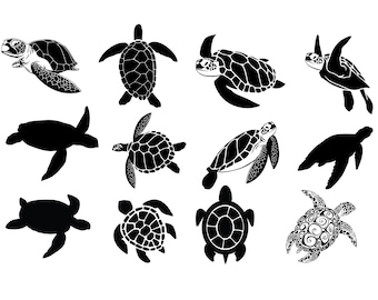 Download Sea Turtle Svg Etsy