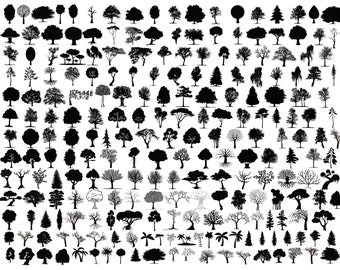 Download Tree Svg Etsy