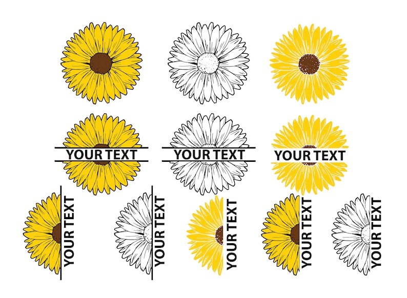 Free Free 189 Half A Sunflower Svg Free SVG PNG EPS DXF File
