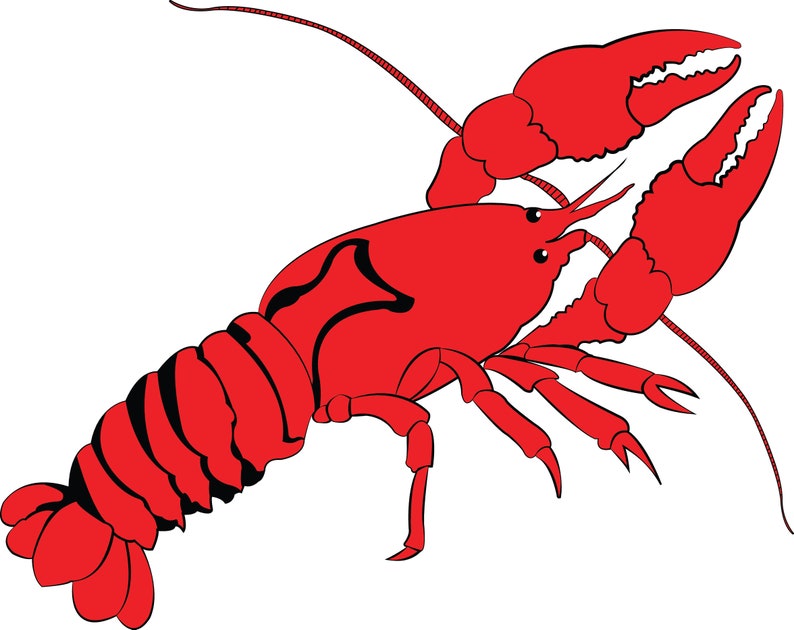 Crawfish Cut File Clip Art SVG Cricut Silhouette Cameo - Etsy