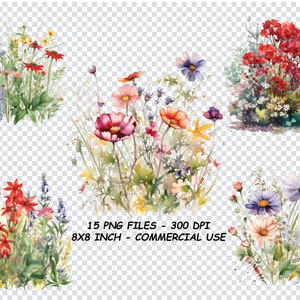 WATERCOLOR MEADOW FLOWERS Clipart, Meadow Flowers Png, Spring Wildflower Floral For Commercial Use Transparent Background
