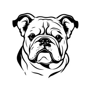 BULLDOG SVG, BULLDOG Clipart, Bulldog Svg Files For Cricut, Bulldog Silhouette Svg, Dog svg