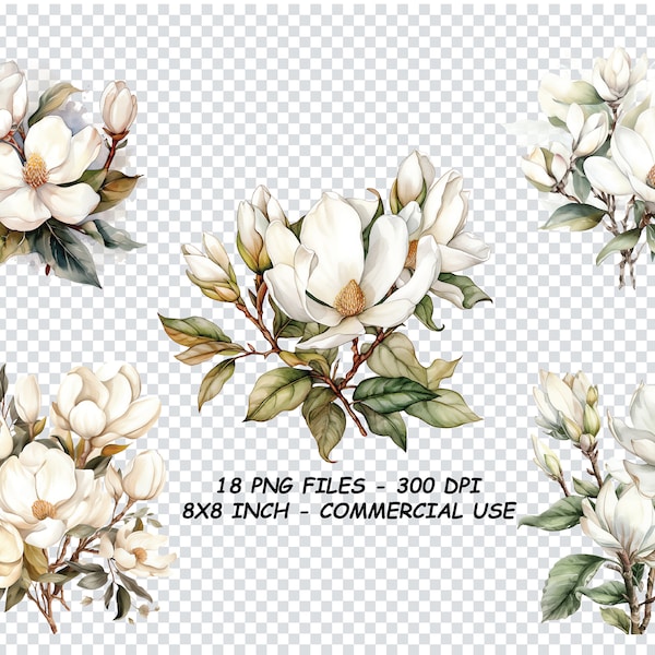 MAGNOLIA FLOWER WATERCOLOR Clipart, Magnolia Flower Watercolor Png Files, Transparent Background Png