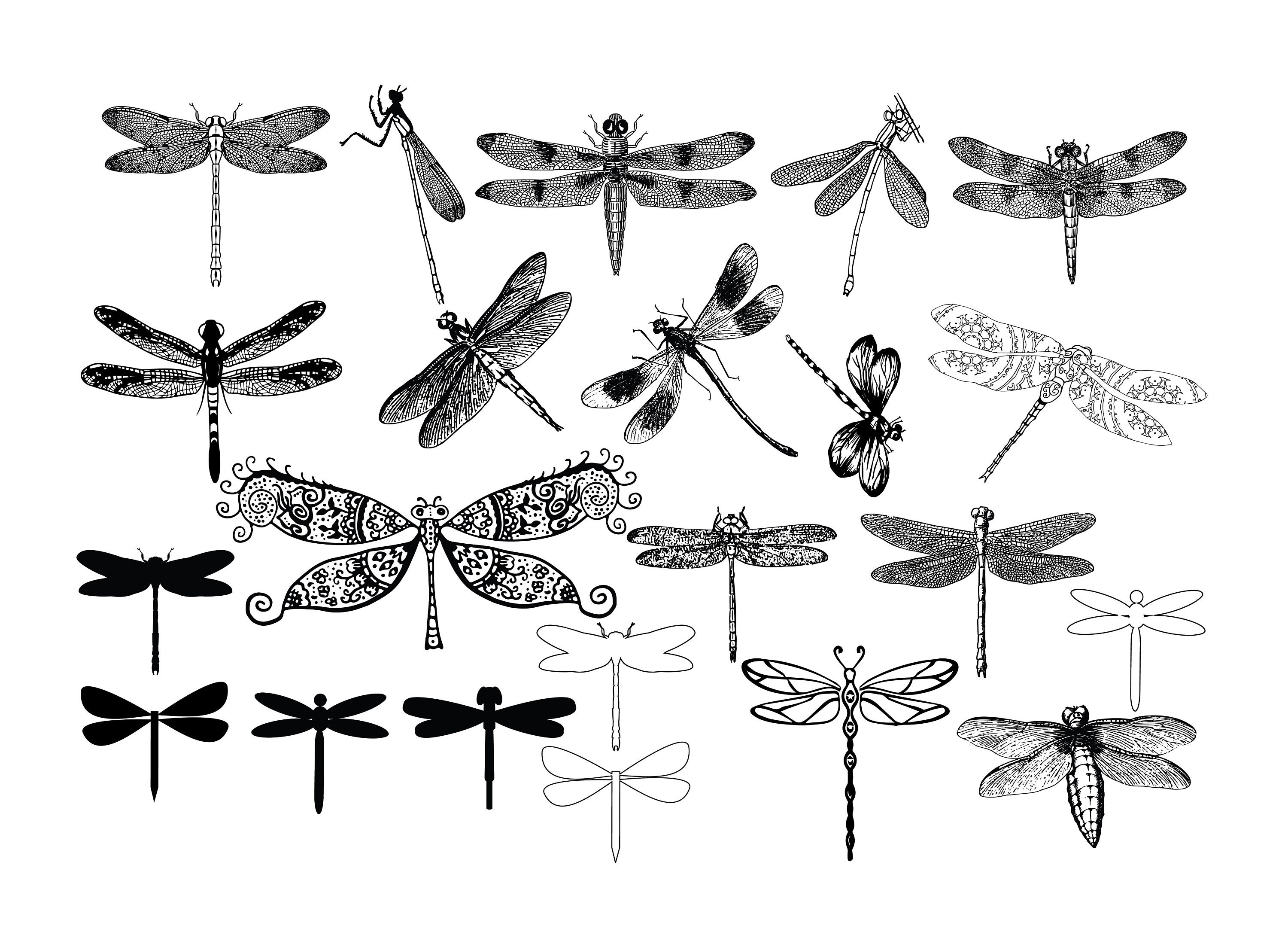 DRAGONFLY SVG BUNDLE Dragonfly Svg Cut Files for Cricut | Etsy UK