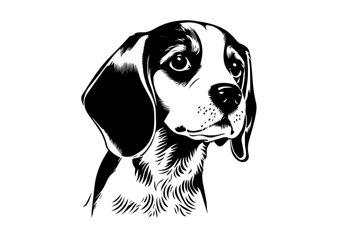 BEAGLE SVG, BEAGLE Clipart, Beagle Svg Files for Cricut, Beagle