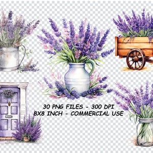 WATERCOLOR LAVENDER GARDEN Clipart, Lavender Clipart Png, Commercial Use Lavender Clipart Transparent Background
