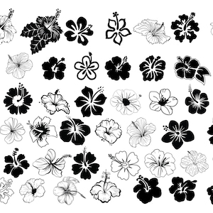 HIBISCUS SVG, HIBISCUS Svg-bestanden knippen voor Cricut, Hibiscus Clipart, Hibiscus silhouet Svg