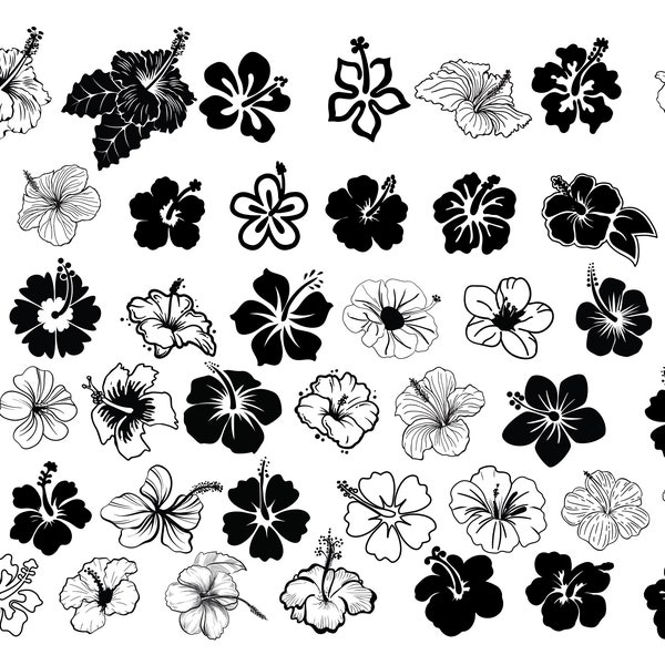 HIBISKUS SVG, HIBISKUS SVG schneiden Dateien für Cricut, Hibiskus Clipart, Hibiskus Silhouette svg