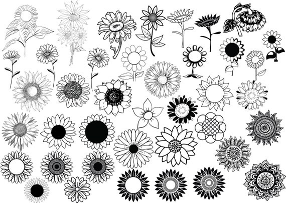 Download Free Sunfower Svg Bundle Sunflower Clipart Bundle Sunflower Svg Etsy SVG Cut Files