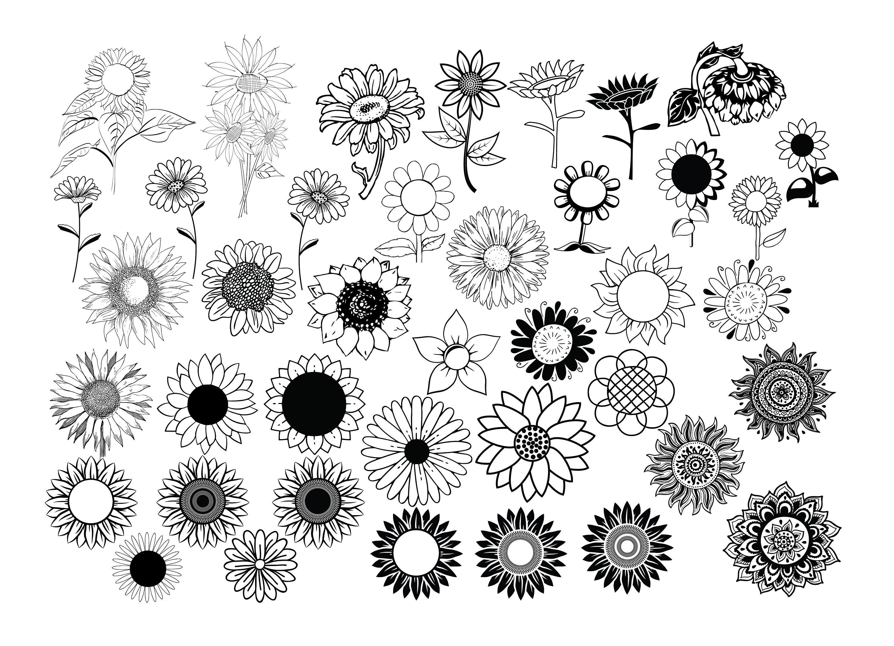 Free Free 138 Sunflower Svg Black And White Free SVG PNG EPS DXF File