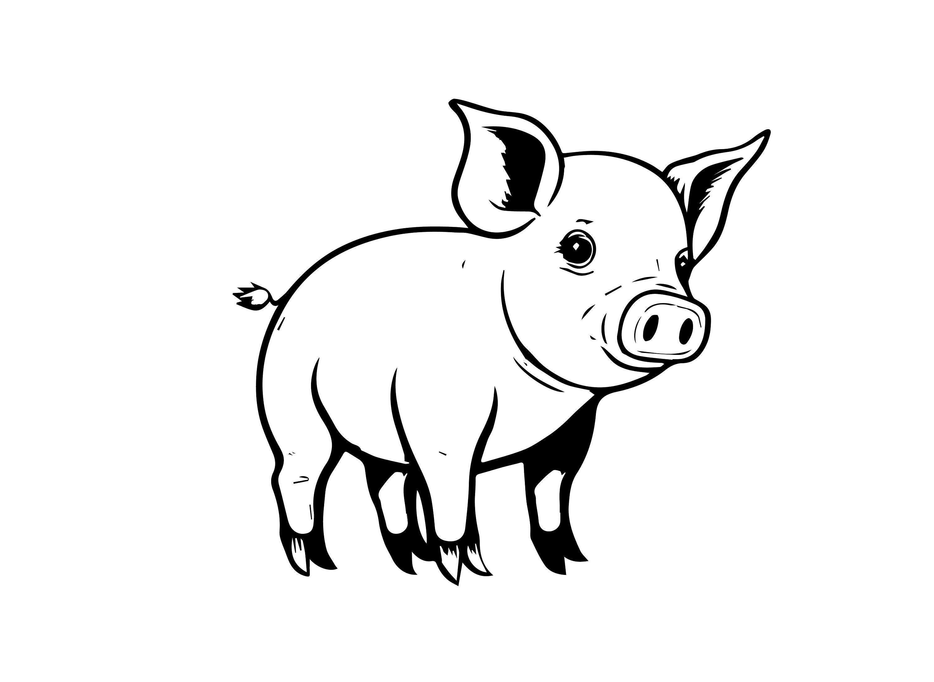 Pig Clipart Black And White Il Fullxfull.4496188824 3ym1