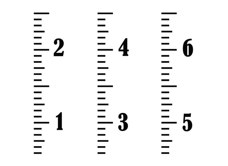 May include: A ruler with markings and numbers 1 through 6.