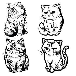 An Angry Cute Cat, Angrily, Lovely, Cat PNG Transparent Image and Clipart  for Free Download