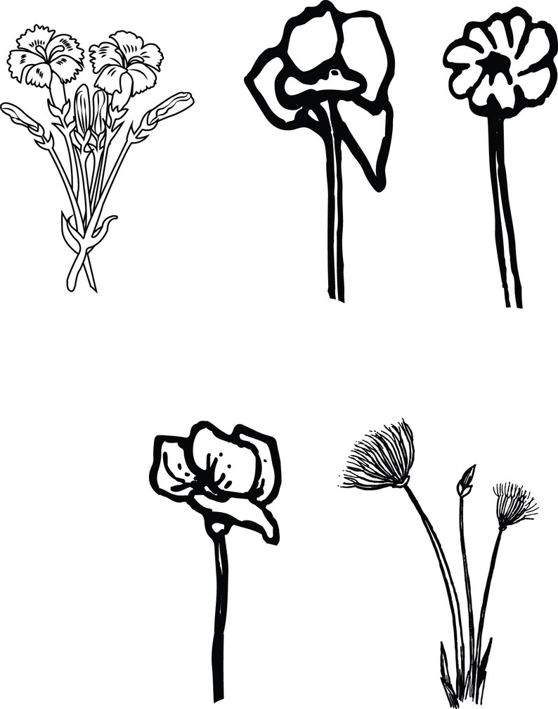 Free Free 293 Simple Wildflower Svg Free SVG PNG EPS DXF File