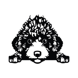 POODLE SVG, POODLE Clipart, Poodle Svg Cut Files For Cricut, Poodle Head Svg, Poodle Silhouette Svg