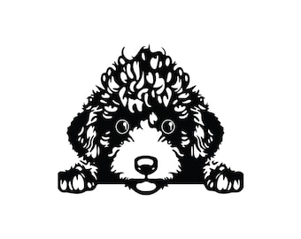 POODLE SVG, POODLE Clipart, Poodle Svg Cut Files For Cricut, Poodle Head Svg, Poodle Silhouette Svg