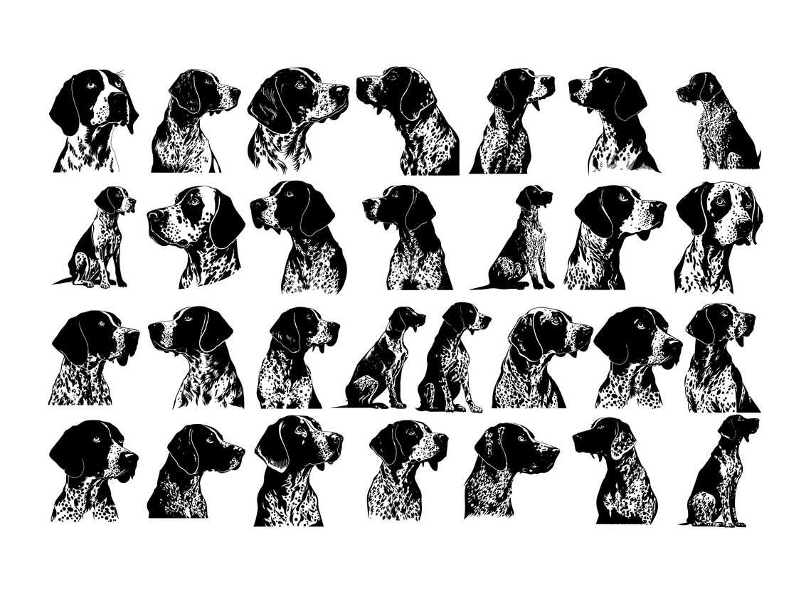 POINTER Dog SVG, POINTER Clipart, Pointer Svg Files for Cricut, Pointer ...