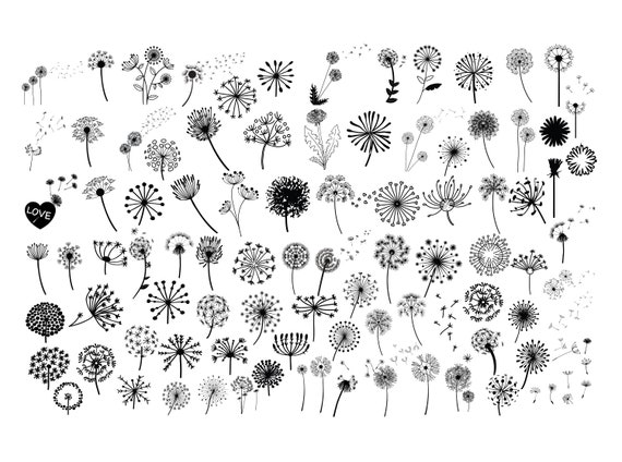 Download Dandelion Bundle Svg Files Dandelion Bundle Files For Cricut Etsy