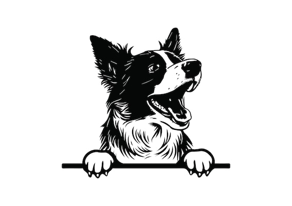 PEEKING BORDER COLLIE Svg Peeking Border Collie Clipart - Etsy