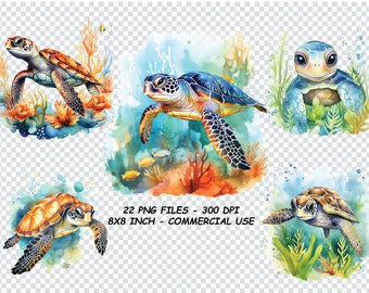 Aquarell Meeresschildkröte Clipart, Aquarell Meeresschildkröte Png-Dateien, transparenter Hintergrund Png
