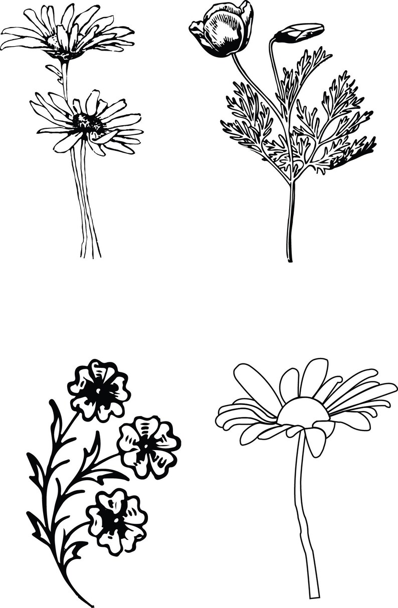 Download Wild flowers SVG Wild flowers SVG Cricut Silhouette Cameo ...