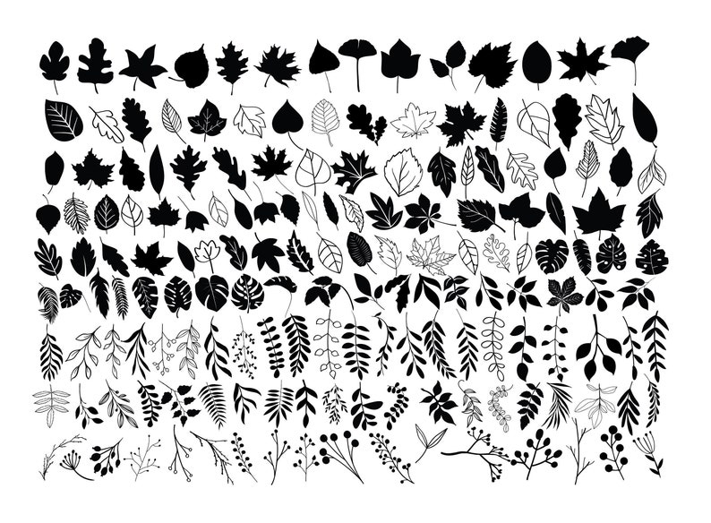 LEAF SVG Bundle, LEAVES Svg Bundle, Leaf Clipart, Leaf Svg cut files for Cricut, Branch Svg, Twig svg image 1