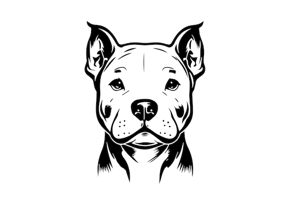 PITBULL SVG, PITBULL Clipart, Pitbull Svg Files for Cricut, Pitbull  Silhouette Svg, American Pitbull Svg - Etsy