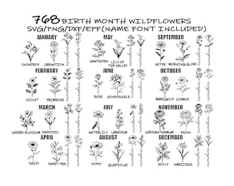 BIRTH MONTH WILDFLOWERS Svg, 768 Birth Month Wildflowers Graphics, Birthday Flower Svg, Wildflower Svg