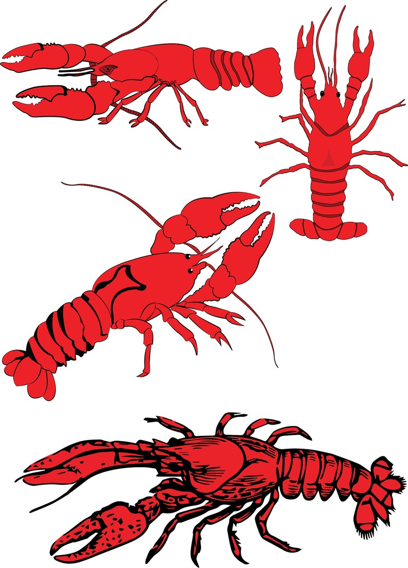 Crawfish Cut File Clip Art SVG Cricut Silhouette Cameo - Etsy