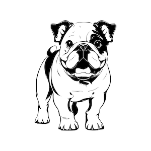 BULLDOG SVG, BULLDOG Clipart, Bulldog Svg Files For Cricut, Bulldog Silhouette Svg, Dog svg