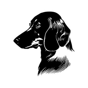 DACHSHUND Dog SVG, DACHSHUND Clipart, Dachshund Svg Files For Cricut, Dachshund Silhouette Svg, Dog svg