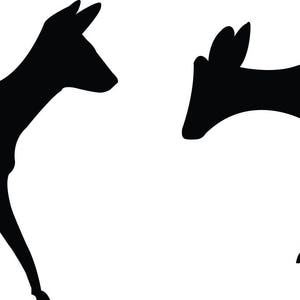 May include: Silhouette of two deer, one standing and one walking, against a white background.