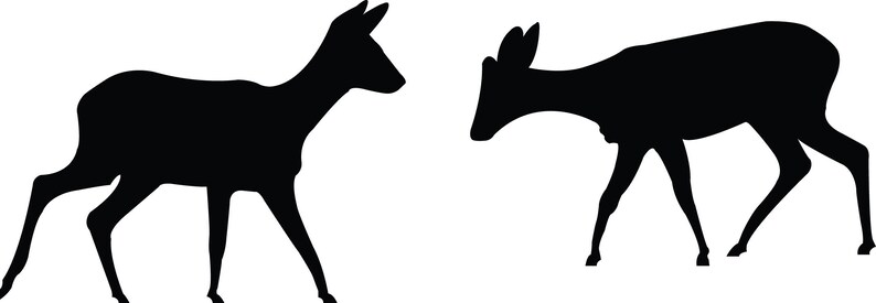 May include: Silhouette of two deer, one standing and one walking, against a white background.