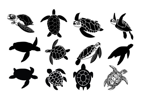 Download Sea Turtles Clipart Svg Files For Cricut