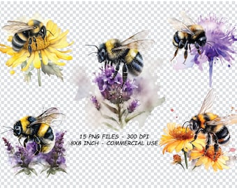 Watercolor Bumble Bee Clipart, spring garden bee clip art PNG graphics instant download for commercial use Transparent Background