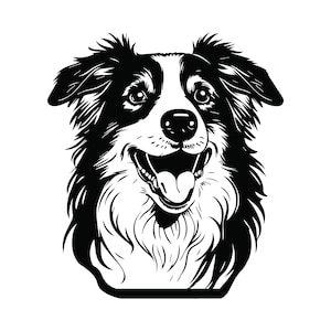 Könnte beinhalten: Schwarz-weiß-Illustration eines Border Collie mit einem glücklichen Ausdruck. Der Hund hat ein schwarz-weißes Fell und schaut direkt auf den Betrachter.