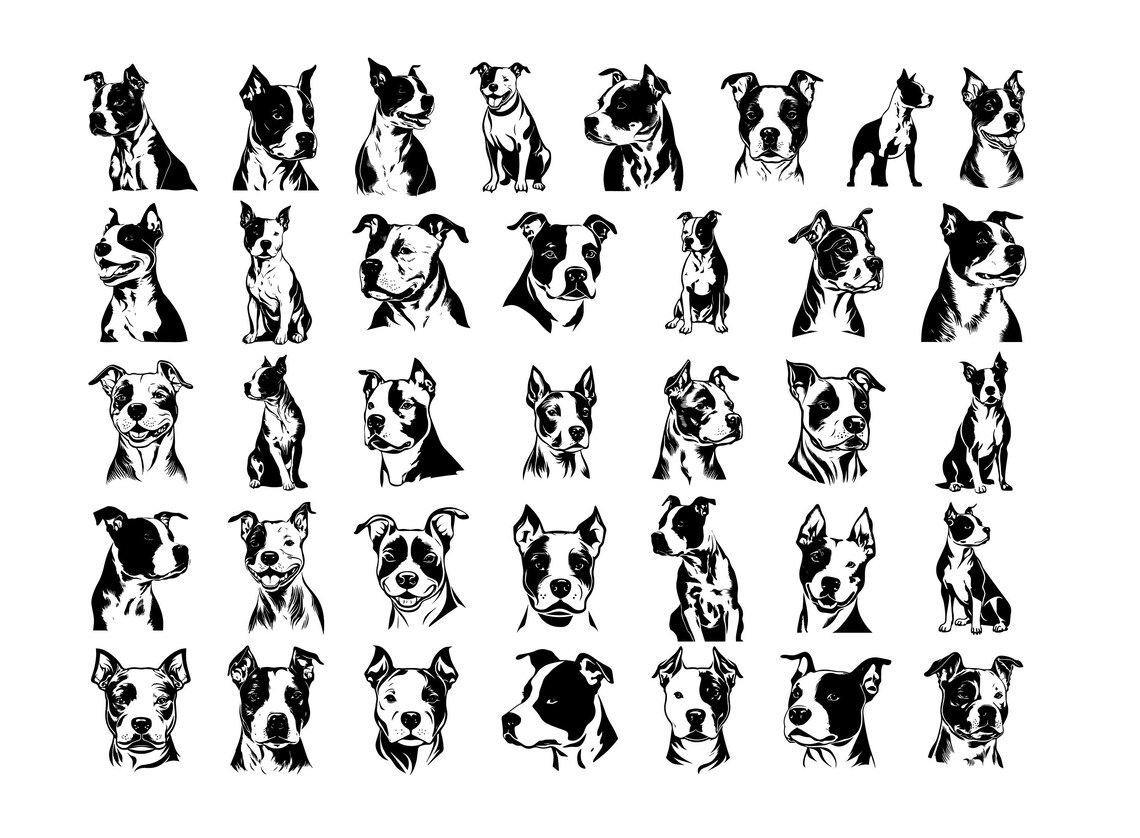 AMSTAFF SVG AMSTAFF Clipart Amstaff Svg Files for Cricut Etsy Finland