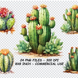 WATERCOLOR CACTUS CLIPART, Watercolor Cactus Clipart Png Files, Transparent Background Png
