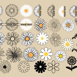 Fichiers DAISY SVG, Clipart fleur DAISY, Daisy Svg coupe pour Cricut, Daisy monogramme Svg, demi-daisy svg
