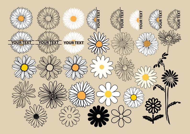 Pu&ograve; includere: Un set di 25 illustrazioni di margherite in bianco e nero. I fiori sono in vari stili, tra cui semplici contorni, forme riempite e disegni dettagliati. Alcuni dei fiori hanno testo che dice "YOUR TEXT".