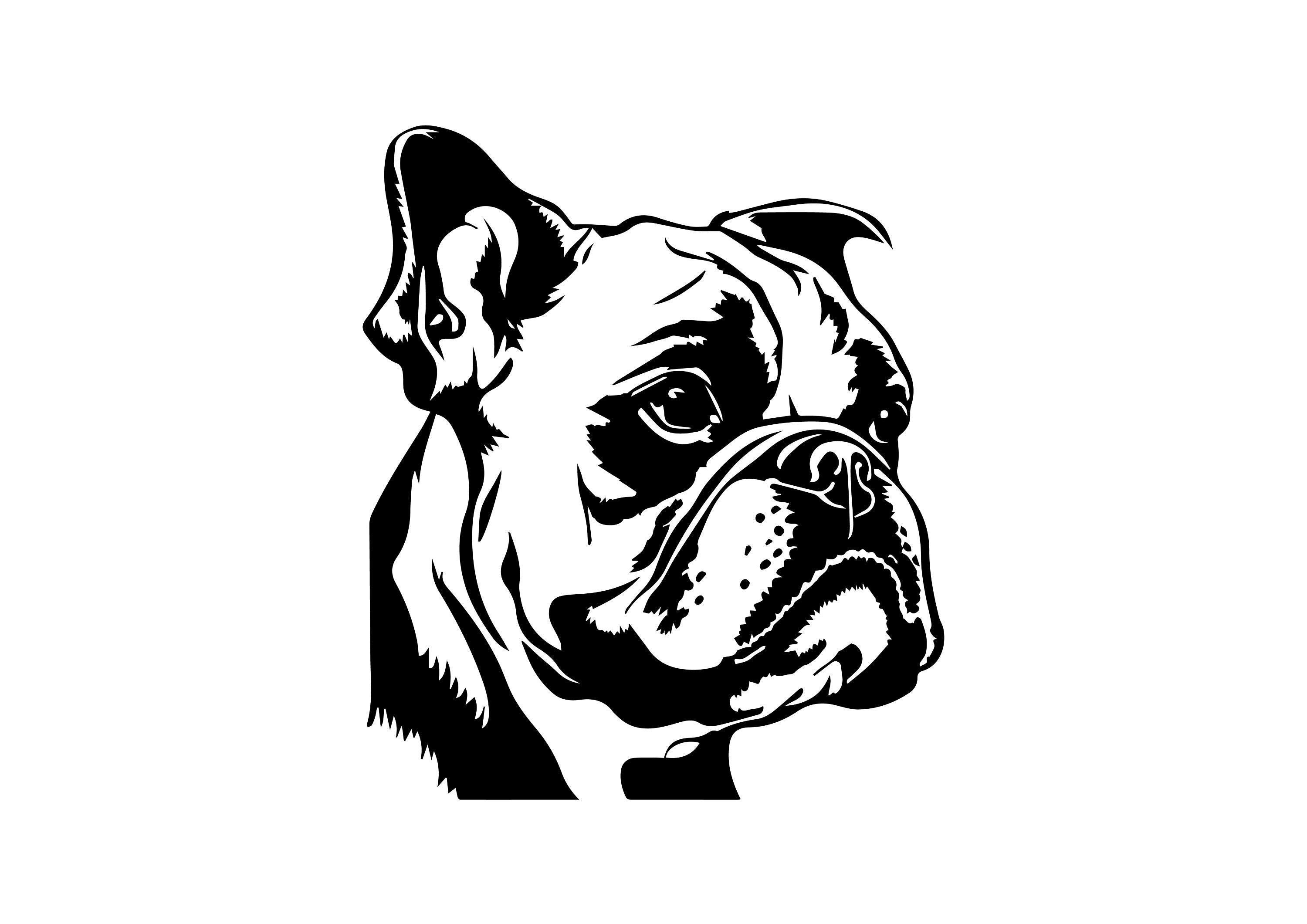 BULLDOG SVG, BULLDOG Clipart, Bulldog Svg Archivos para Cricut, Bulldog